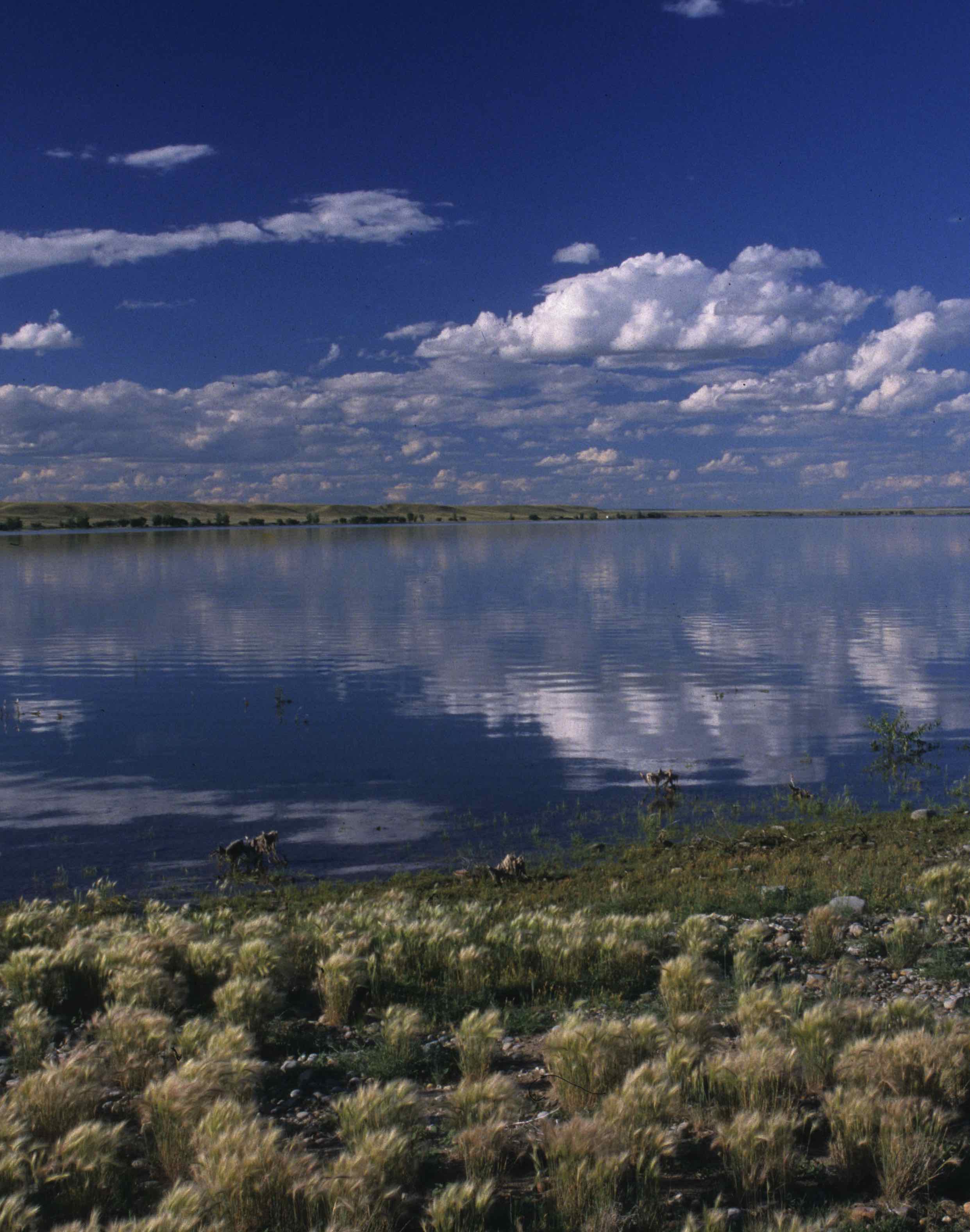 Nelson Reservoir